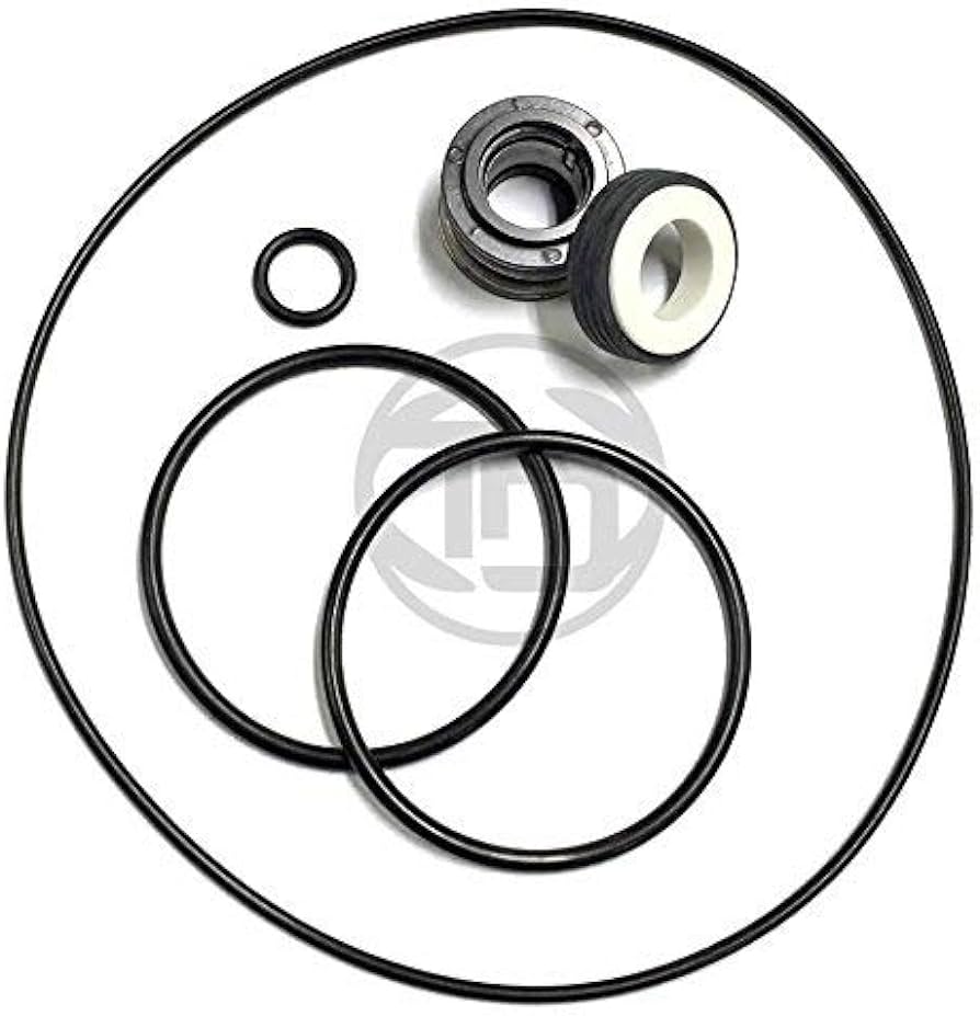 Aqua-Flo XP2 Viton Seal and O-ring Kit: ORG71/S/V