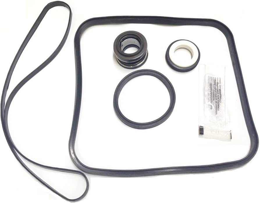 Hayward Super Pump O-ring/Gasket/Viton Seal Kit 3: ORG3/SV